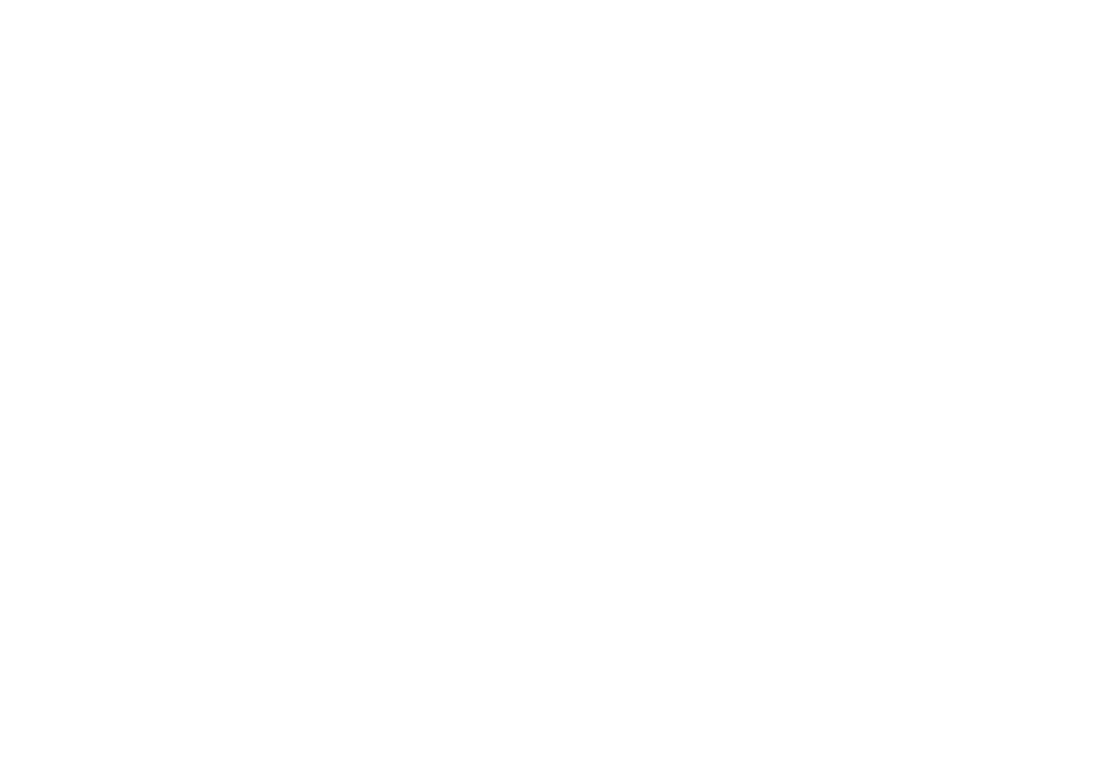 NDN Logo